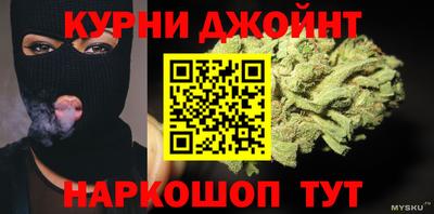 шишки Обь