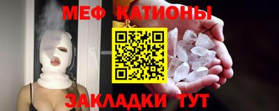 шишки Обь