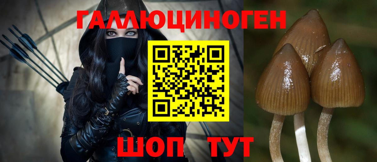 Усть-Джегута  Галлюциногенные грибы Psilocybine cubensis  Галлюциногенные грибы мухоморы  Вход с VPN 
