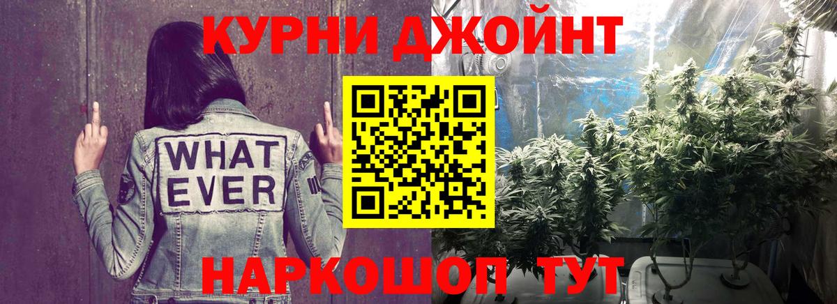 Усть-Джегута  Бошки Шишки AK-47  Шишки марихуана план  Вход с VPN  Конопля AK-47 